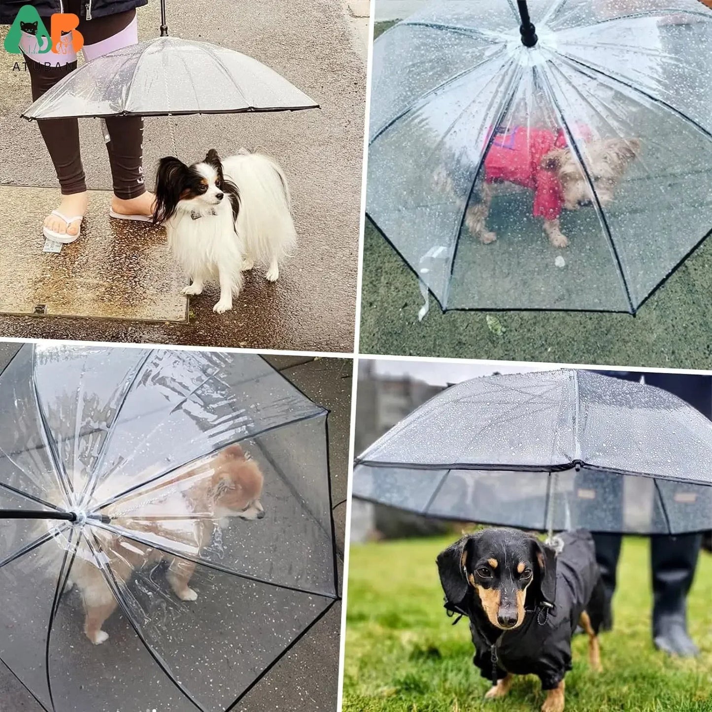Dog Umbrella