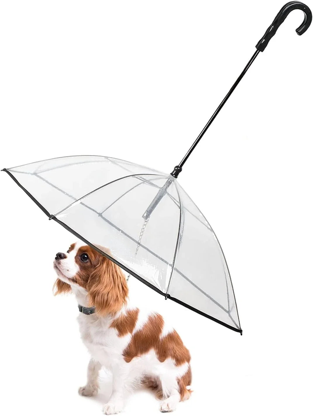 Dog Umbrella