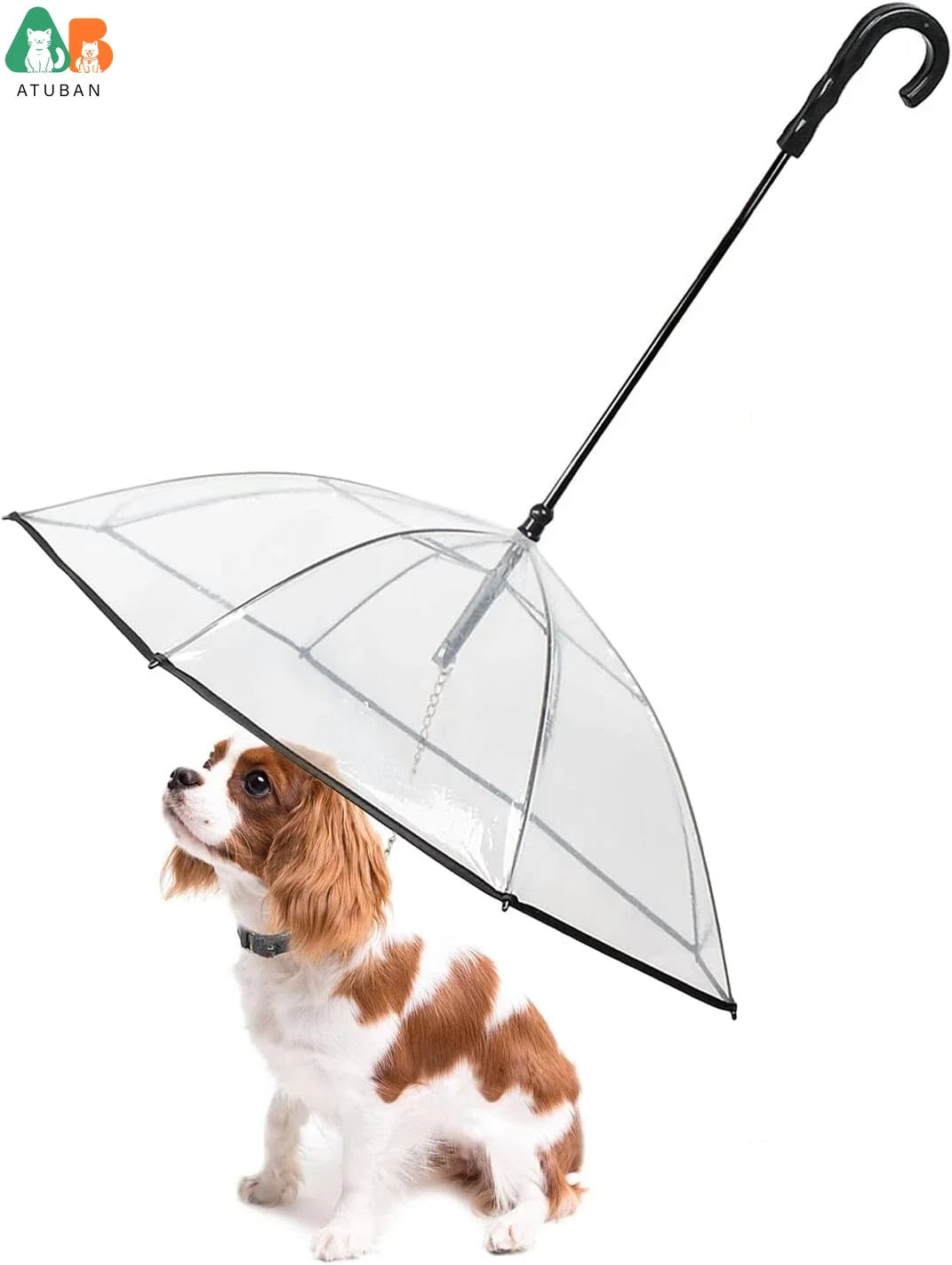Dog Umbrella
