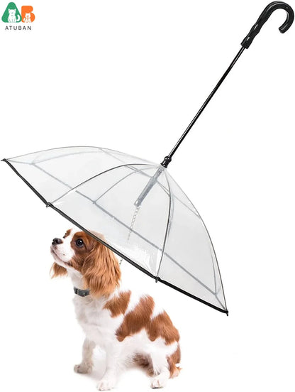 Dog Umbrella